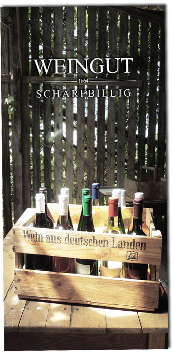 WEingut Scharfbillig Weinprobe